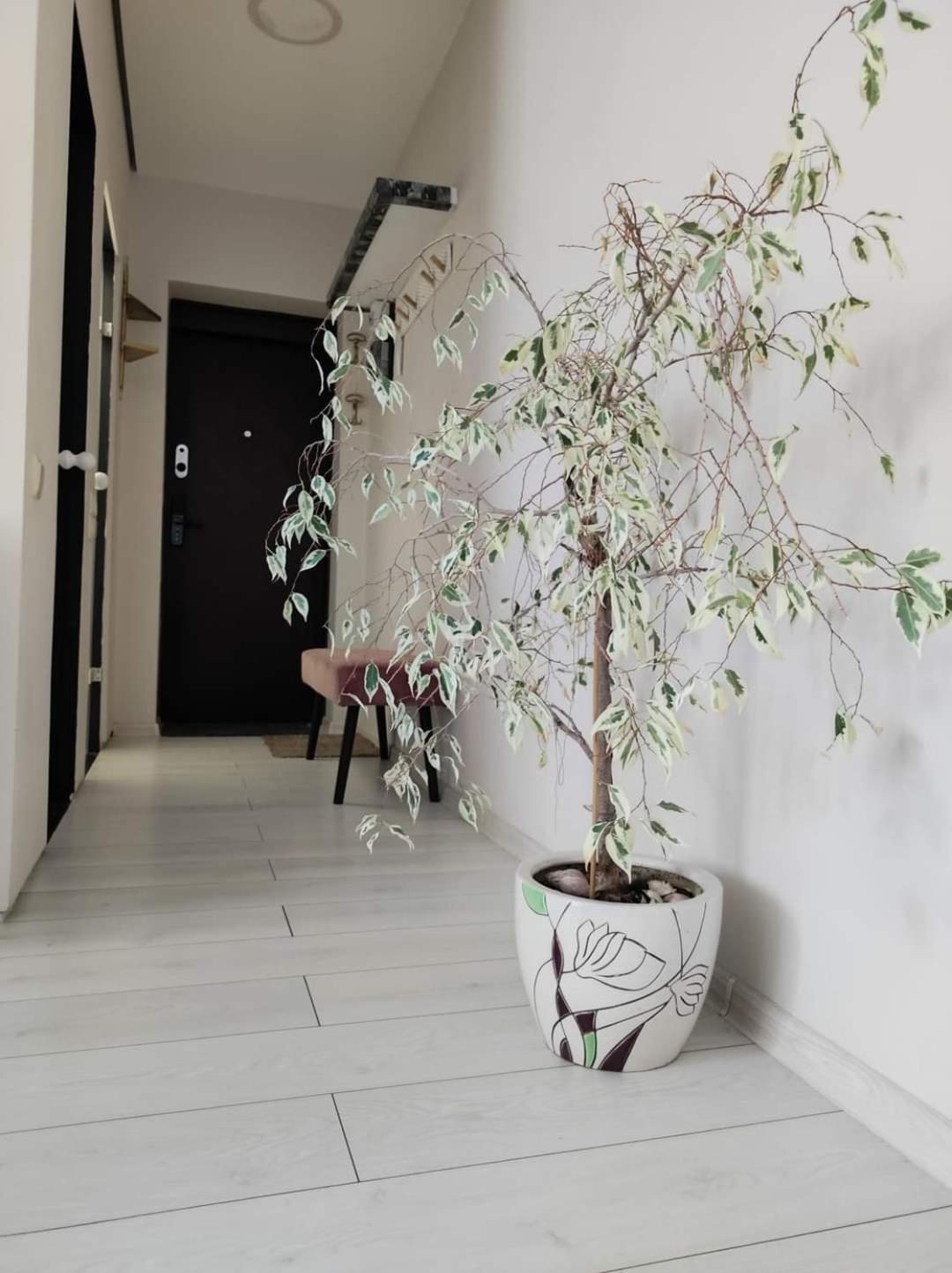 Apartamentai Miesto Centre Шяуляй Екстер'єр фото